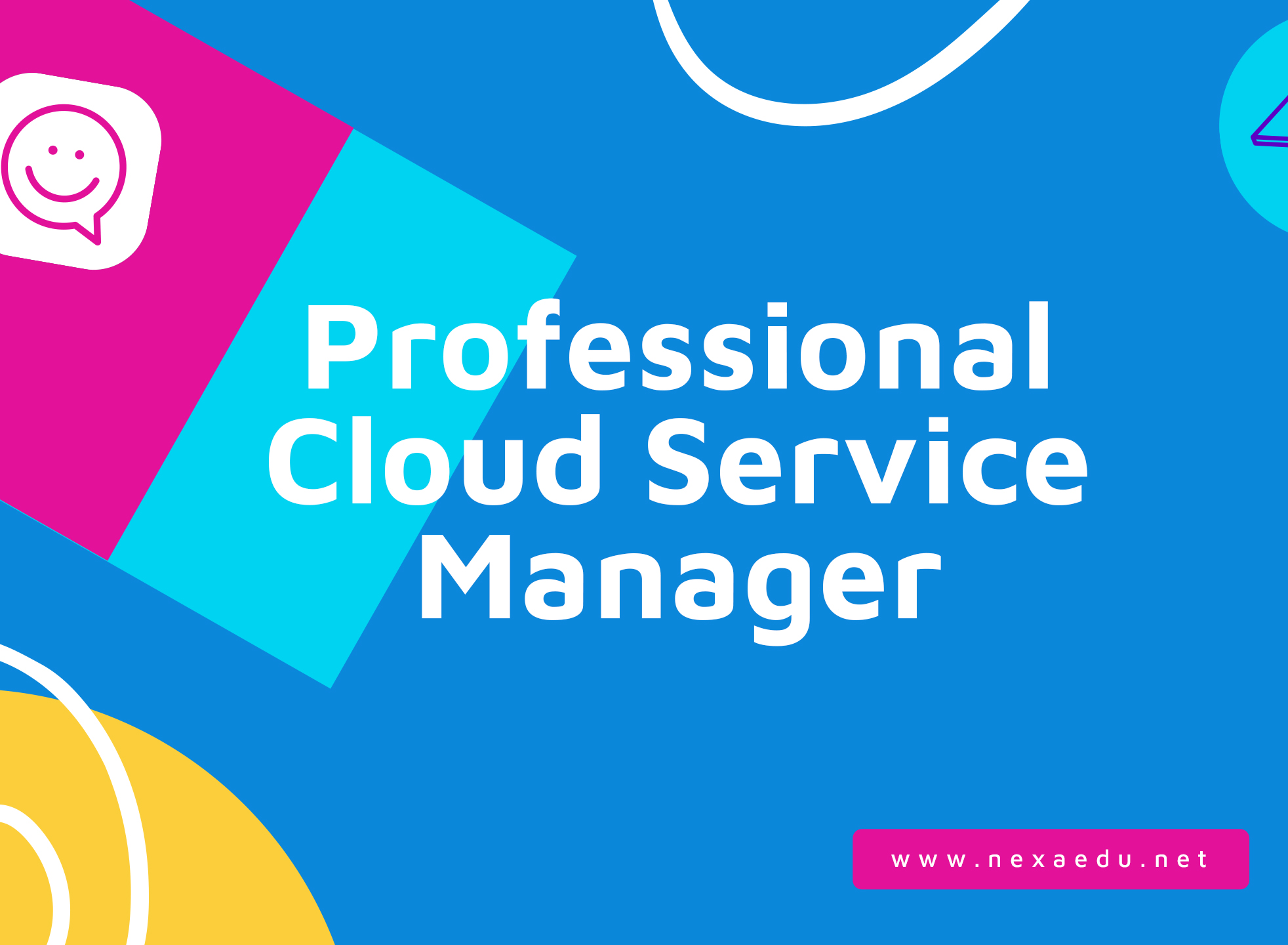 Professional Cloud Service Manager